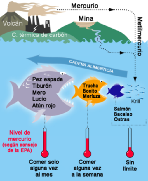 ¿Atún o soya o las dos?