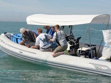 La vaquita marina, ejemplo de "defaunación" y crisis de la biodiversidad