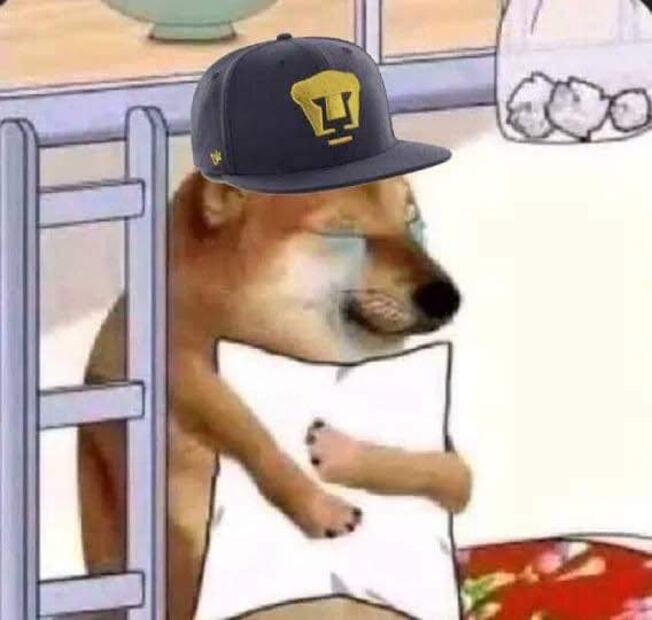 Memes de Pumas