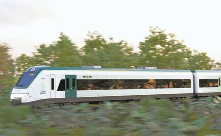 México debe garantizar el respeto al medio ambiente con construcción del Tren Maya: ONU