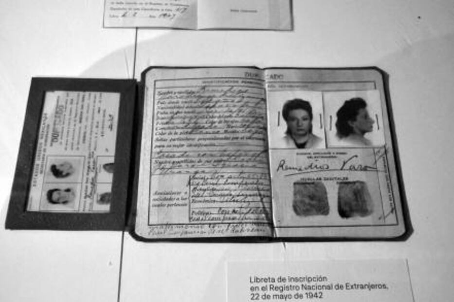 Develan la intimidad de Remedios Varo en el MAM