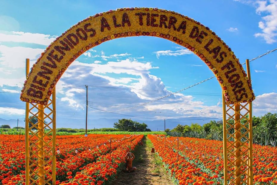 Foto: Facebook Campo Iluminado San Antonino “Tierra de las Flores”