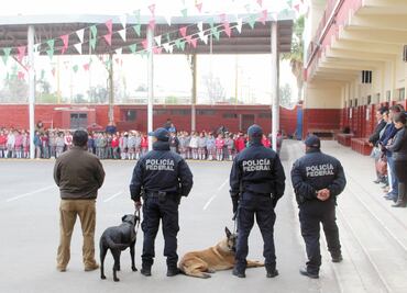 Detienen al abuelo; las armas eran de él