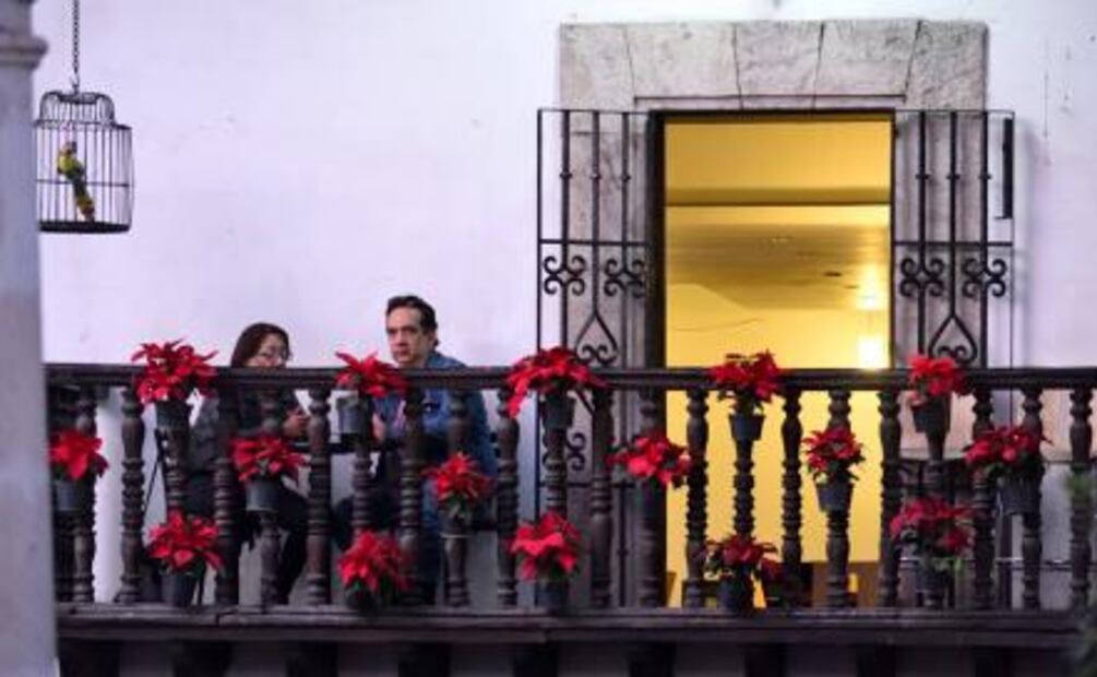 Cuetlaxóchitl, la flor que EU secuestró 