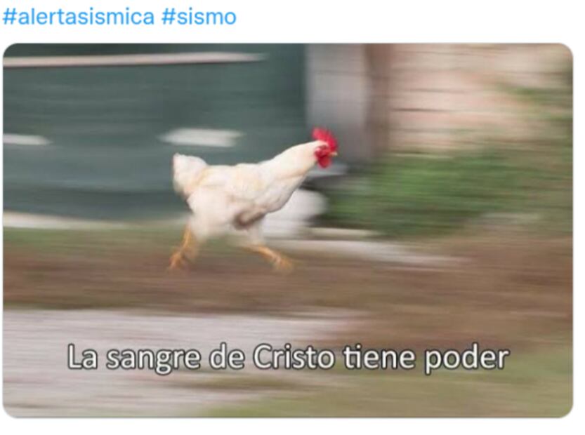 El golpe de Lady Gaga, el sismo en la madrugada y el aterrizaje de “Pochi” en lo mejor de los memes de la semana