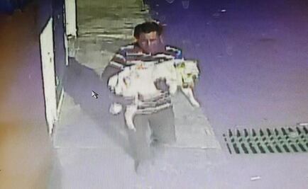 Captan en video robo de bulldog inglés en Puebla