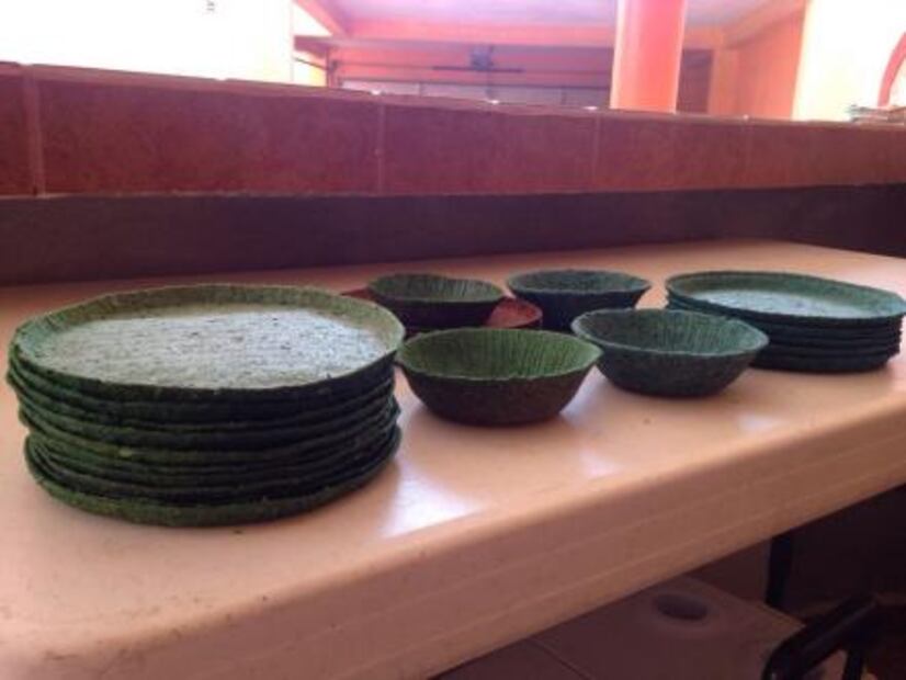 Mexicanas crean platos con nopal