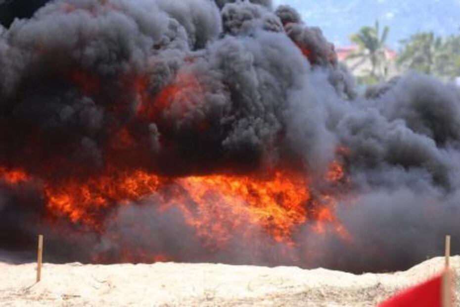 PGR destruye más de 4 toneladas de drogas en Acapulco