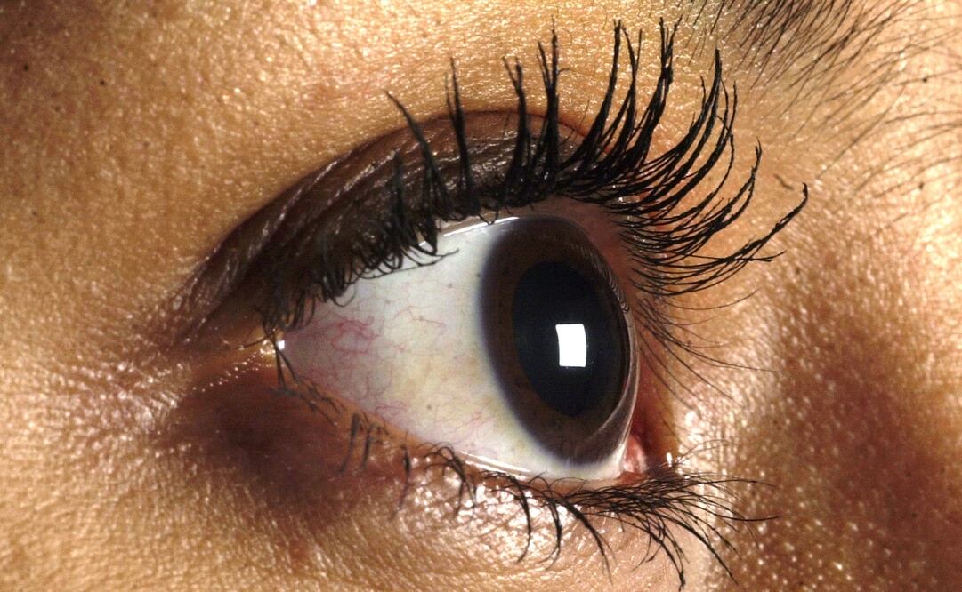 Foto: Archivo El Universal