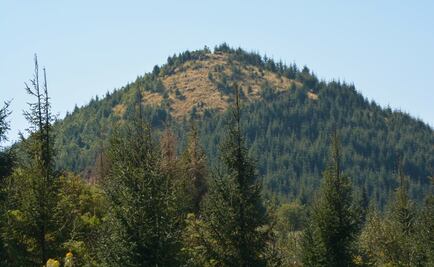 Comunidad rescata el Cerro Pelón para mariposa Monarca