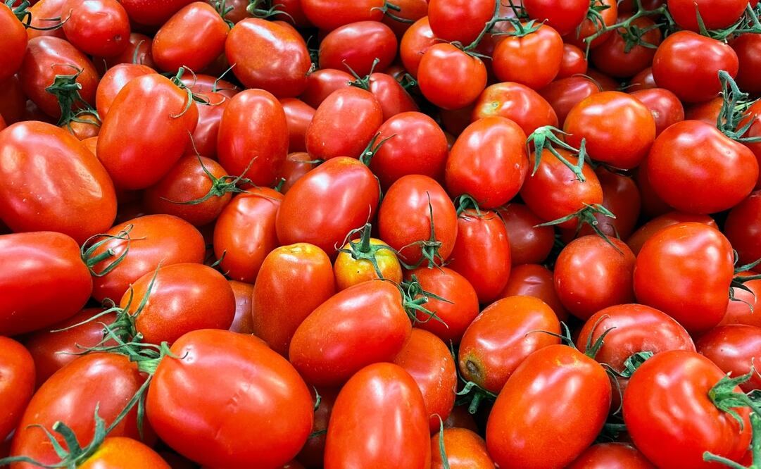 Los jitomates tienen muchas propiedades y beneficios para el cuerpo.  Imagen: Unsplash