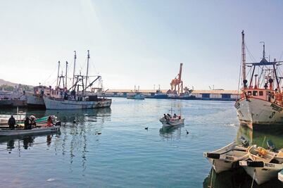 Dan 15 días para amparos contra proyecto del Istmo 