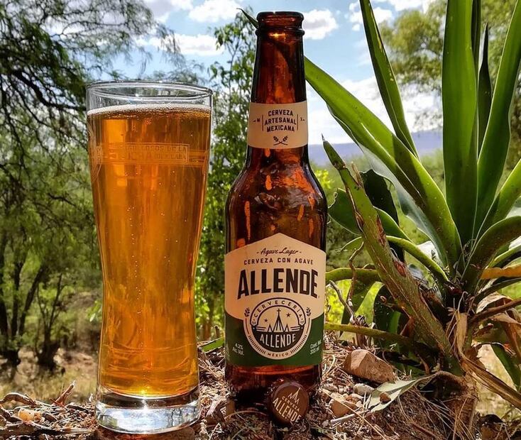 Agave Lager. Foto: Cervecería Allende / Instagram