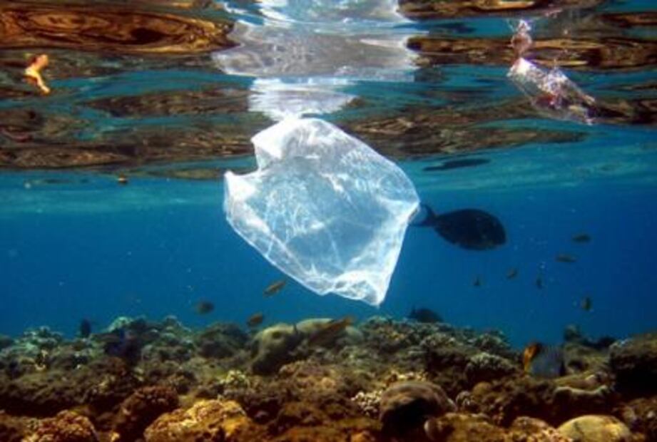 Estados Unidos, el país que más consume y menos recicla