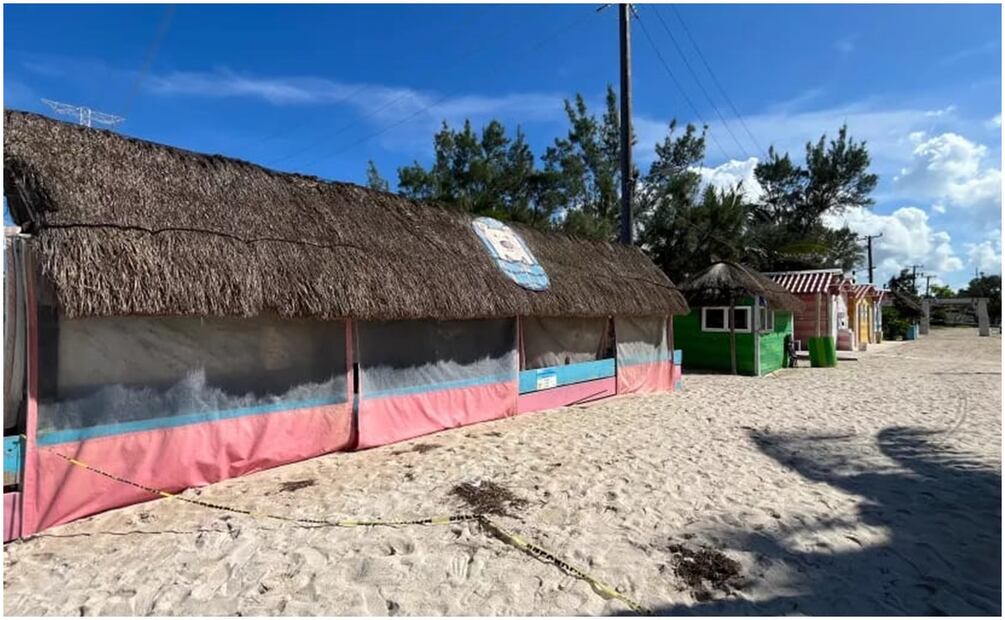 Playa de los Cerditos en Yucatán (14/11/2024). Foto: Especial