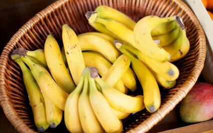 ¿Qué tantas variedades de plátano conoces?