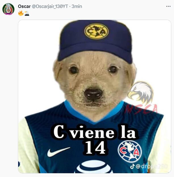 Los mejores memes del campeonato de América