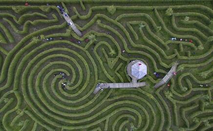Alpinia, el parque donde se encuentra el laberinto más grande de México