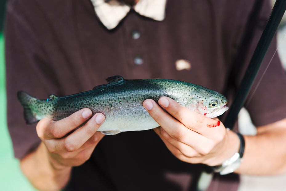 Algunas desventajas del salmón en cautiverio es el aumento grasas saturadas. Foto: Freepik