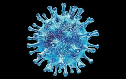 Covid-19: OMS estudia la peligrosidad de la nueva mutación de la variante Delta