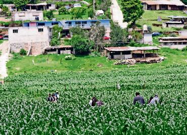 Repunta pobreza laboral en el ámbito rural; llega a su nivel más alto en dos años: Coneval