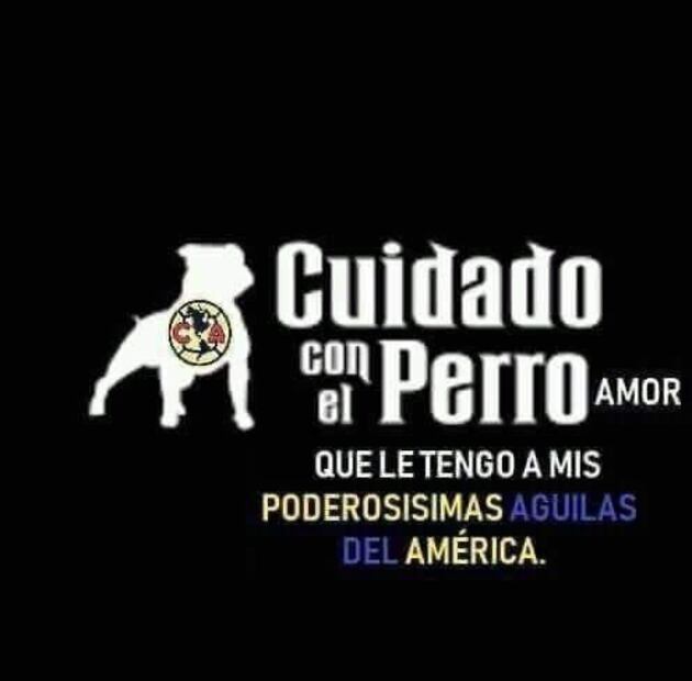 América Memes