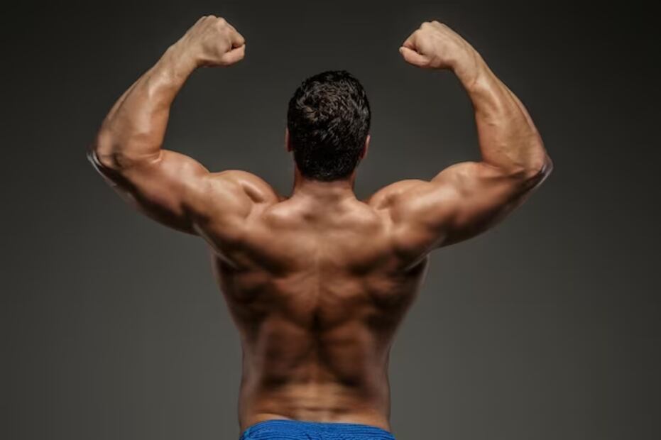 Los músculos que más tardan en crecer. Fuente: Freepik