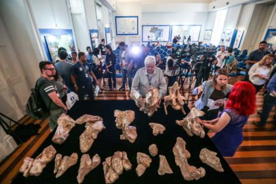 Investigadores anuncian descubrimiento del mayor dinosaurio de Brasil