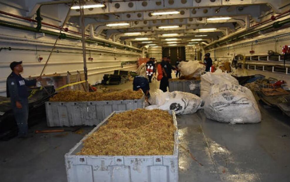 Marina recolecta 15 toneladas de sargazo en Quintana Roo