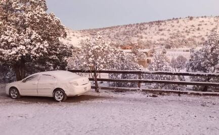 FOTOS: Cae nevada en 15 municipios de Chihuahua