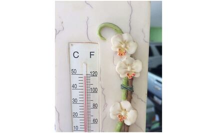 Temperatura en Huejutla, Hidalgo, registra los 49 grados