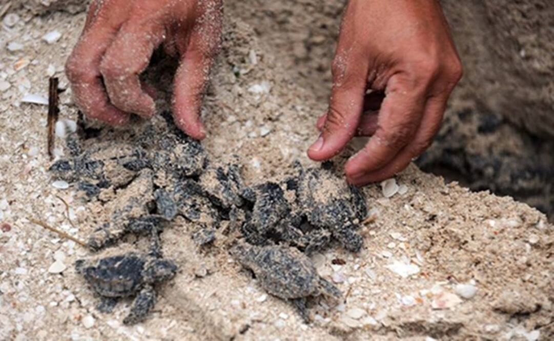 (Photo: Archive/El Universal)