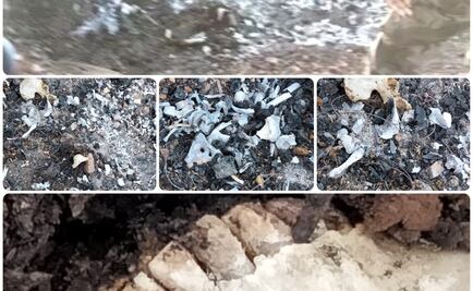 Tras hallazgo de restos en Sonora, Madres Buscadoras acusan que Fiscalía no hace labor pericial