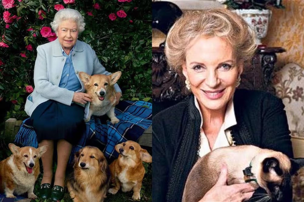 Las mascotas favoritas de la realeza a lo largo de los años. FOTO: ESPECIAL