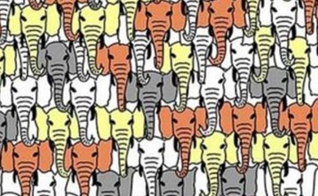 Algunos cibernautas indicaron que se demoraron hasta 20 minutos para poder encontrar el oso panda. Foto: Facebook