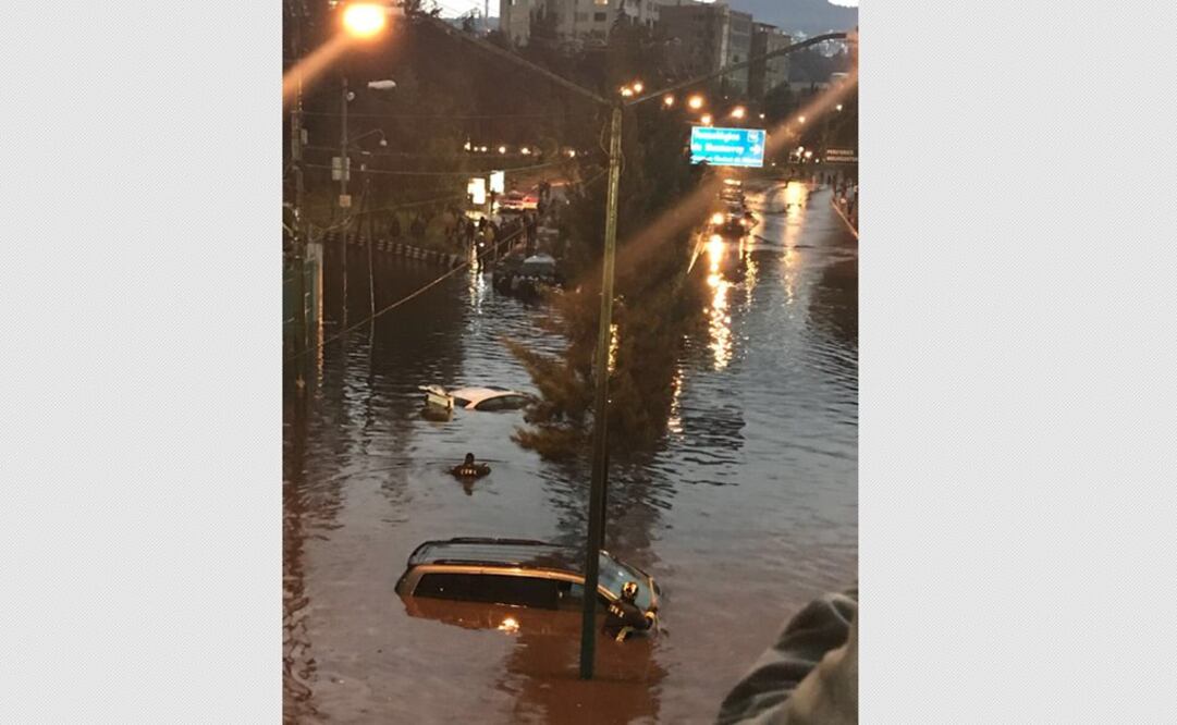 Foto: Cortesía de @Roybellini