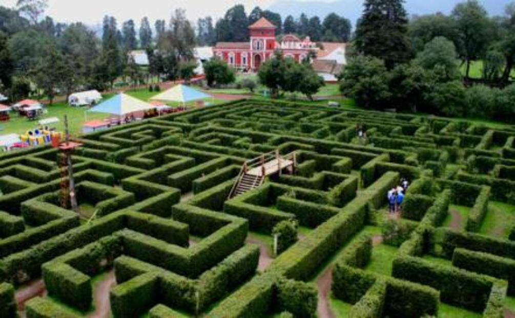 Explora un laberinto en Amecameca y, de paso, ve por tu arbolito