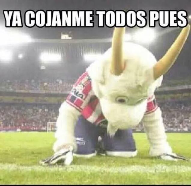 Los mejores MEMES de la derrota de Chivas ante Monterrey; las redes sociales se burlan de los tapatíos