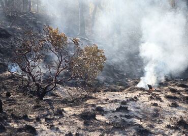 Caen dos por provocar incendios forestales en Puebla; ecocidas, responsables de la gran mayoría de estos incendios, señala gobernador