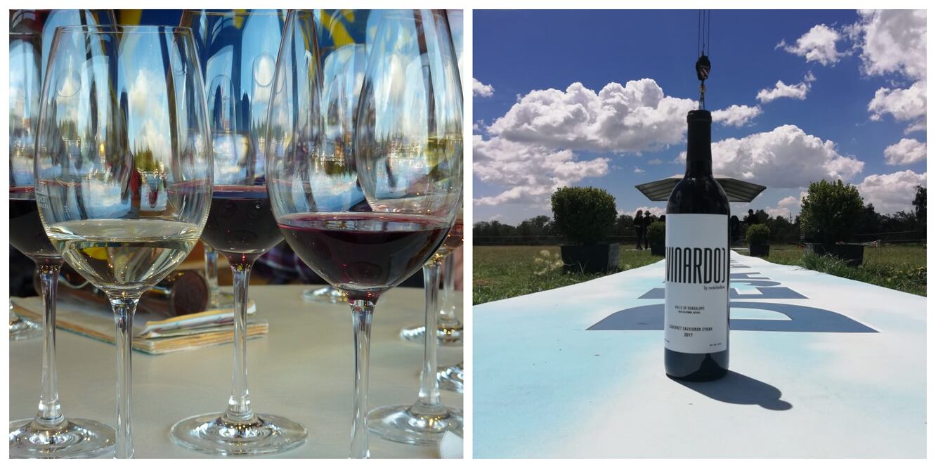 Fotos: Anuar Olmos y Pixabay 