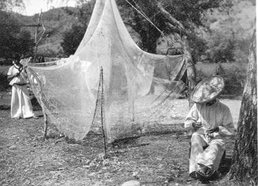 Don Salvador Elizondo Pani se acerca a la literatura y la fotografía (IV)