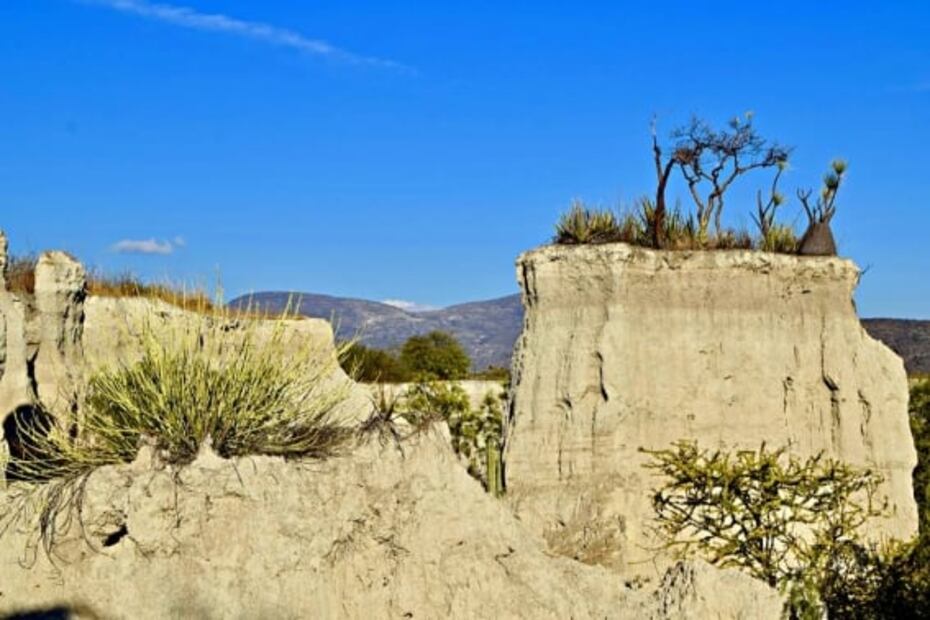 Puebla. Qué hacer en la Reserva de la Biósfera Tehuacán-Cuicatlán