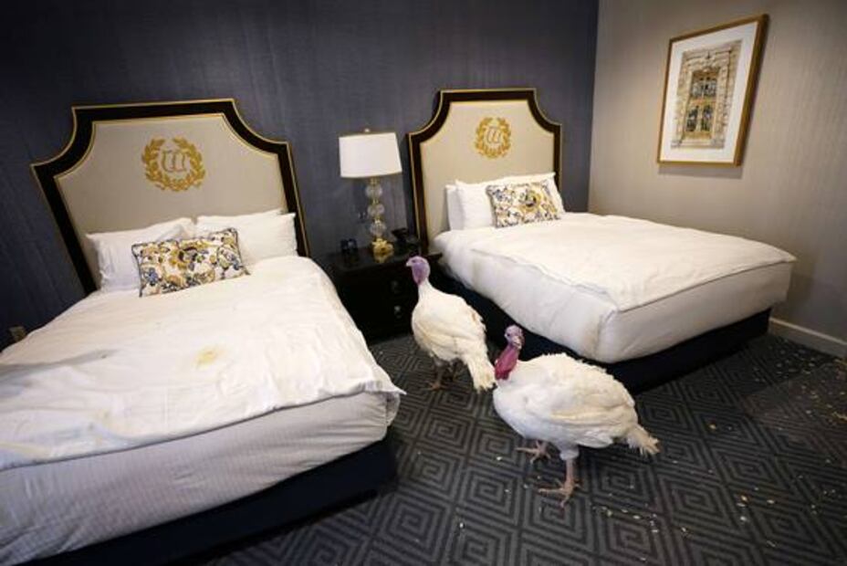 Bread y Butter: los pavos futboleros que esperan el indulto de Trump