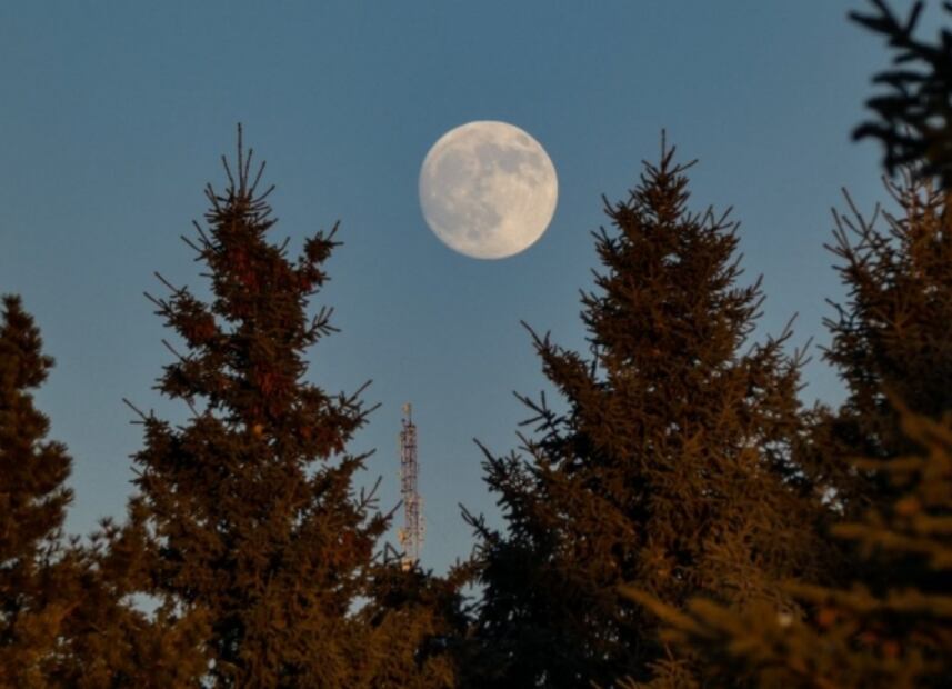 Superluna Rosa de abril 2021, ¿cuándo es y por qué se llama así?