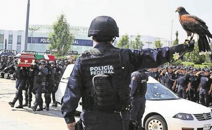 Tanhuato: a strategic point for drug traffickers