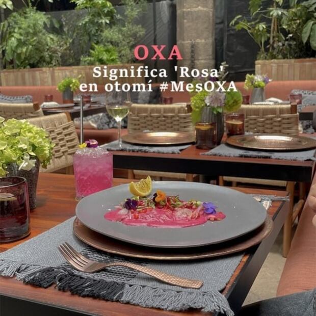 Comida y bebida para apoyar la causa de octubre rosa 