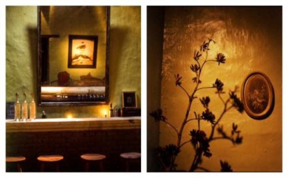 Noches mezcaleras en Oaxaca