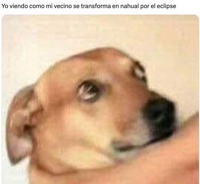 Captura vía Twitter.