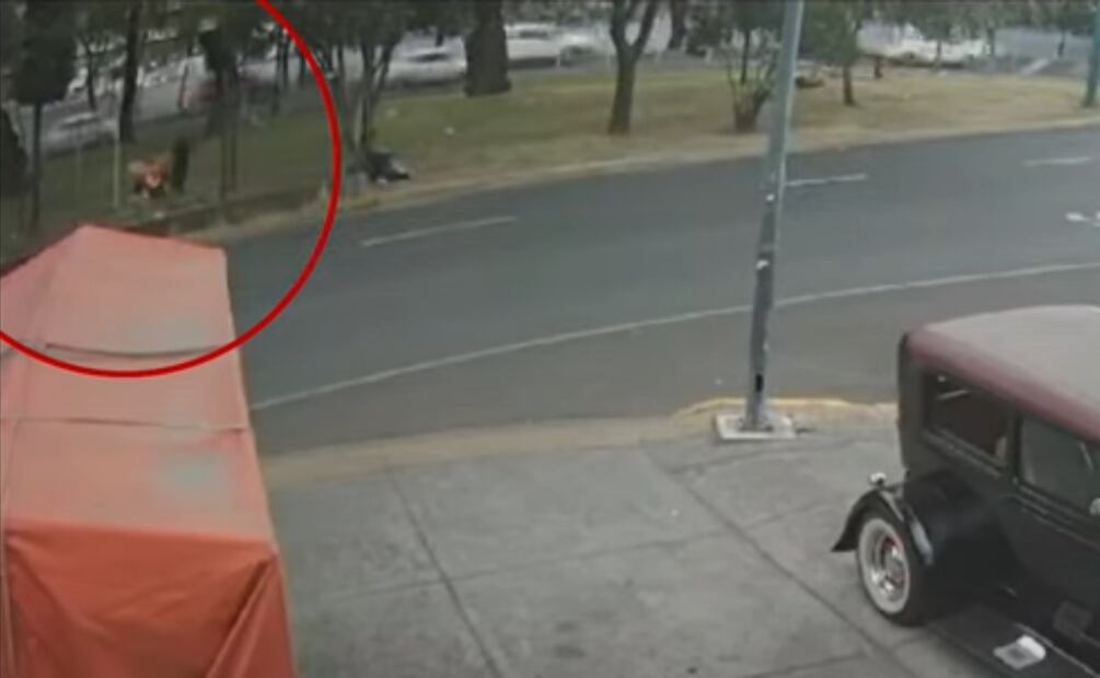 Foto: captura de pantalla