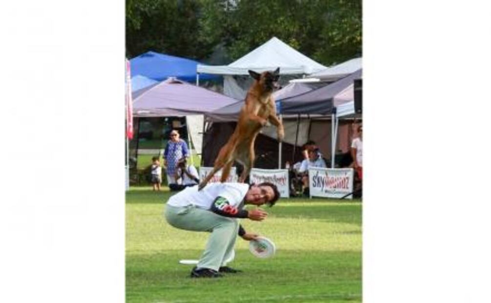 Matilda, perra mexicana gana campeonato mundial en EU